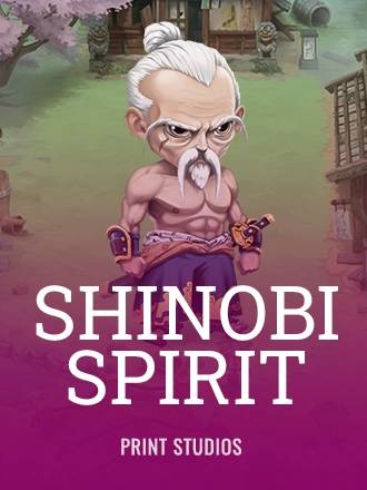 Shinobi Spirit