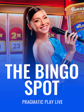 The Bingo Spot