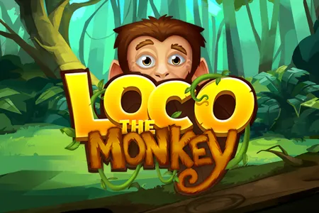 Loco the Monkey