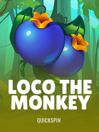 Loco the Monkey
