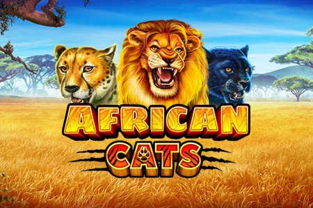 African Cats
