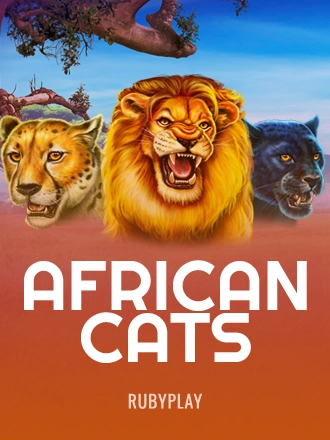 African Cats