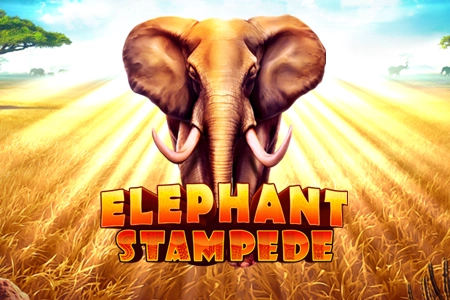 Elephant Stampede