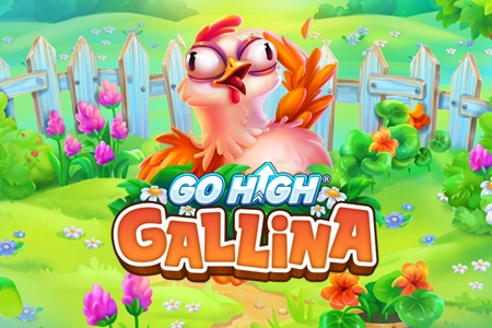 Go High Gallina