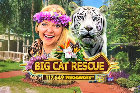 Big Cat Rescue Megaways