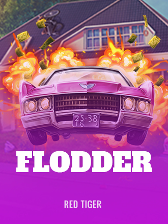 Flodder