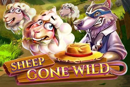 Sheep Gone Wild