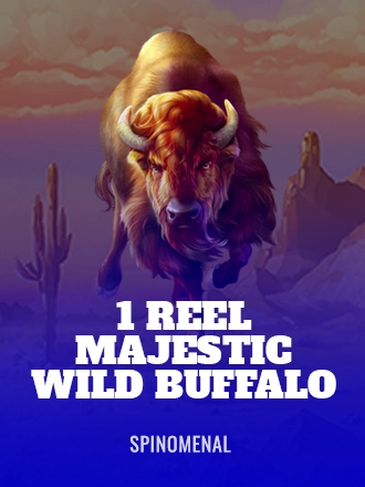 1 Reel - Majestic Wild Buffalo