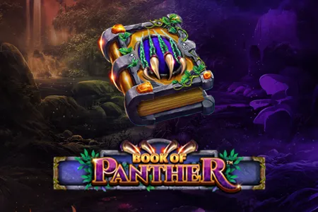 Book Of Panther