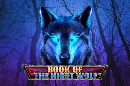 Book Of The Night Wolf