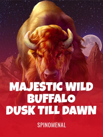 Majestic Wild Buffalo - Dusk Till Dawn