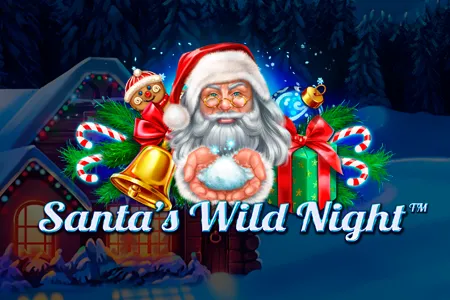 Santa’s Wild Night