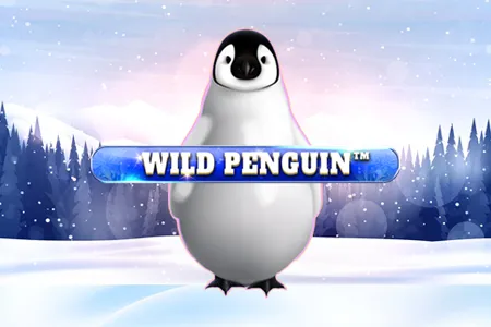 Wild Penguin