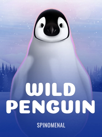 Wild Penguin
