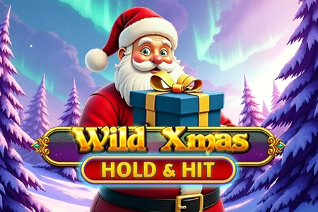 Wild Xmas Hold & Hit