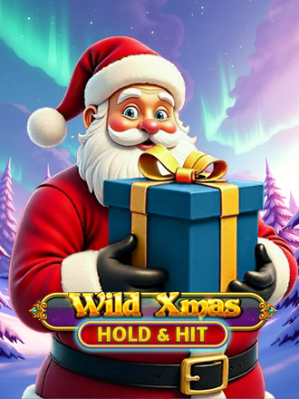 Wild Xmas Hold & Hit