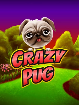 Crazy Pug