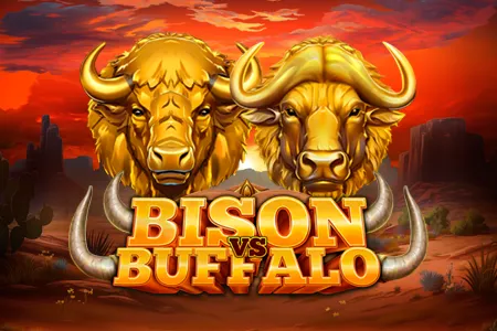 Bison Vs Buffalo