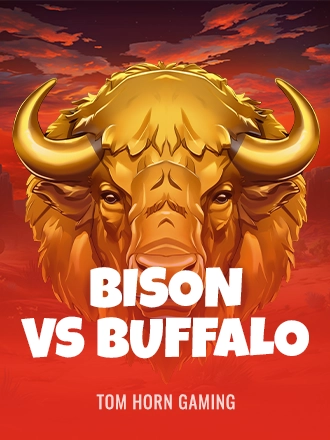 Bison Vs Buffalo