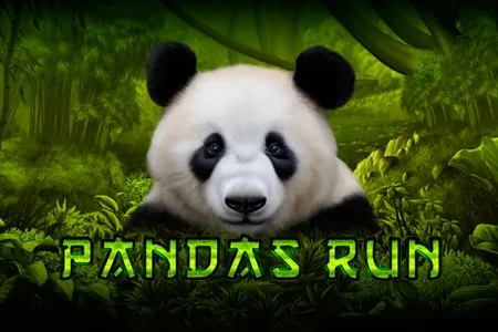 Panda's Run