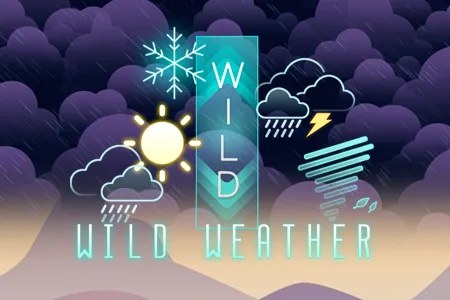 Wild Weather