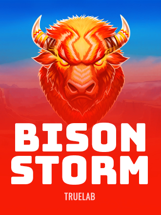 Bison Storm