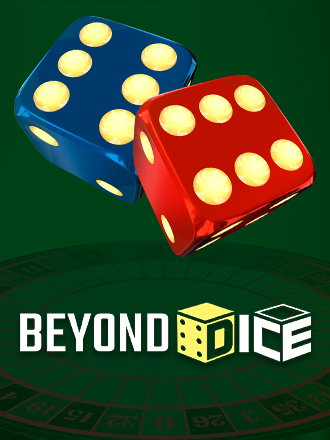 Beyond Dice