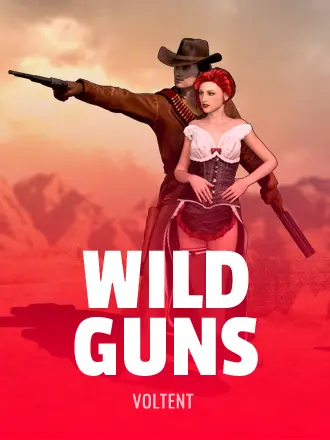 Wild Guns