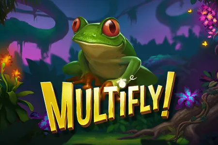 Multifly!